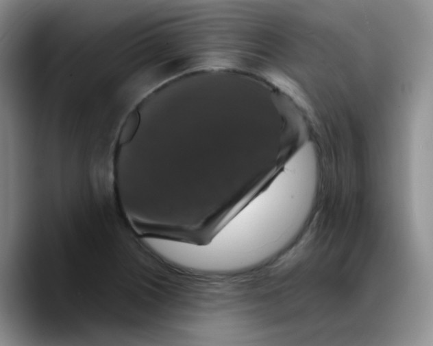 X0000089731226200707201834