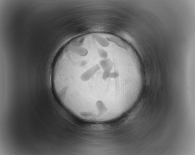 X0000089731227200707201835