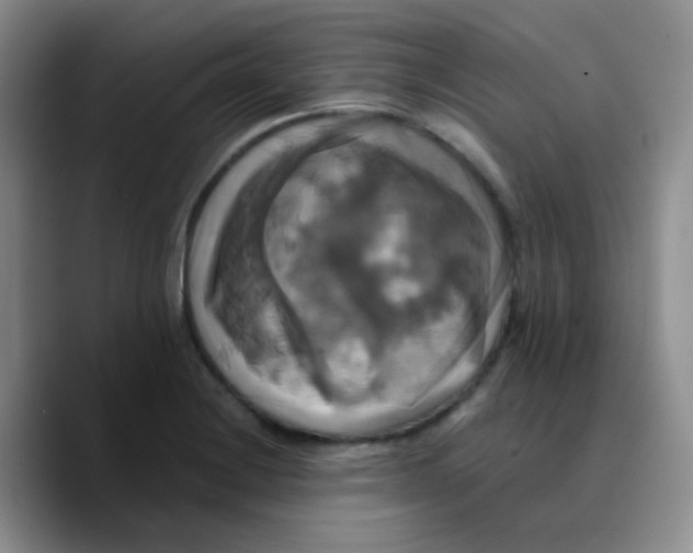 X0000089731228200707201835