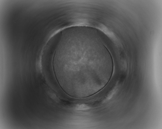 X0000089731230200707201835