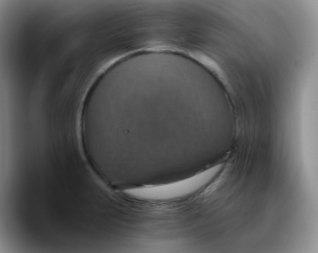 X0000089731231200707201835