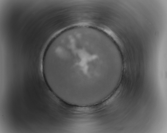 X0000089731232200707201835