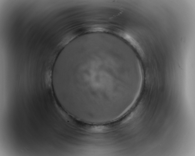X0000089731233200707201835