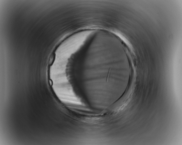 X0000089731237200707201835