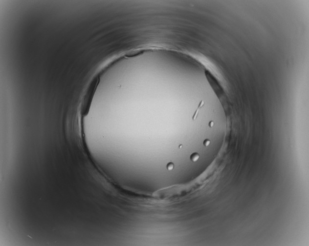 X0000089731238200707201835