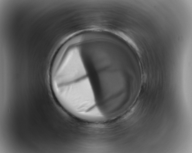 X0000089731239200707201835