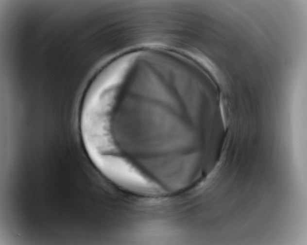 X0000089731240200707201835