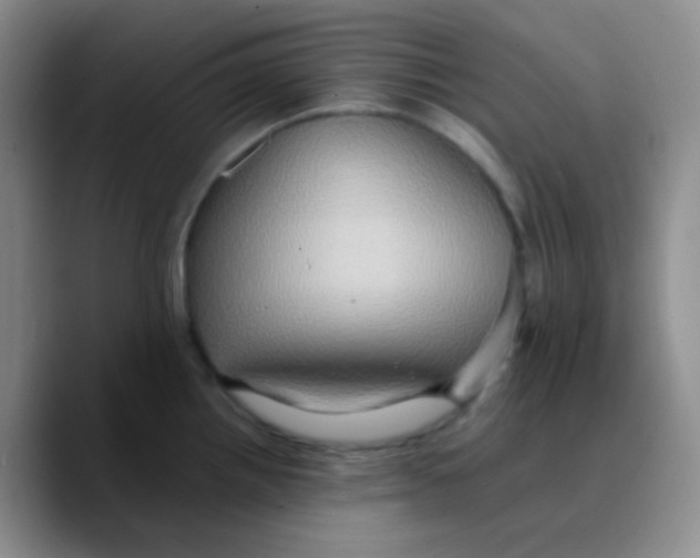 X0000089731242200707201835