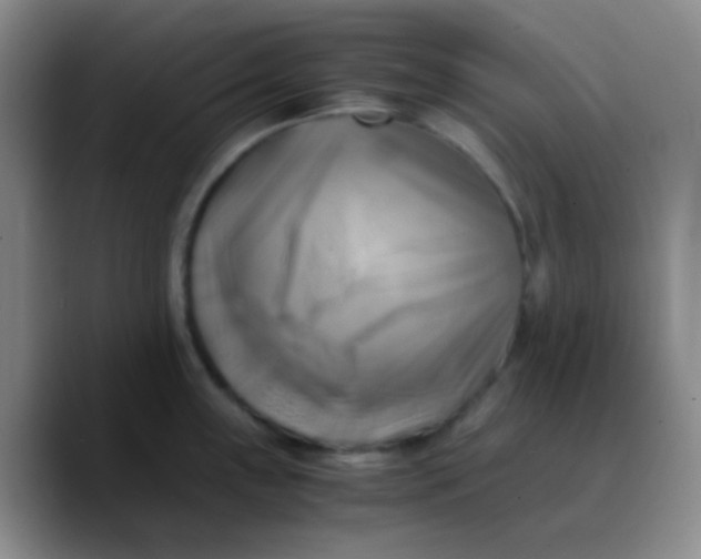 X0000089731243200707201835