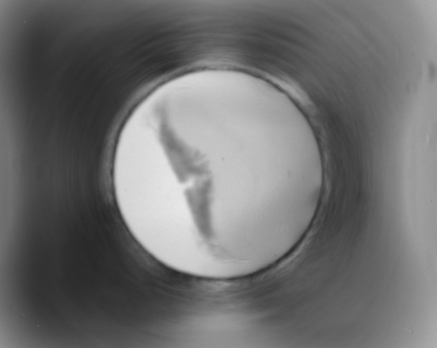 X0000089731248200707201835