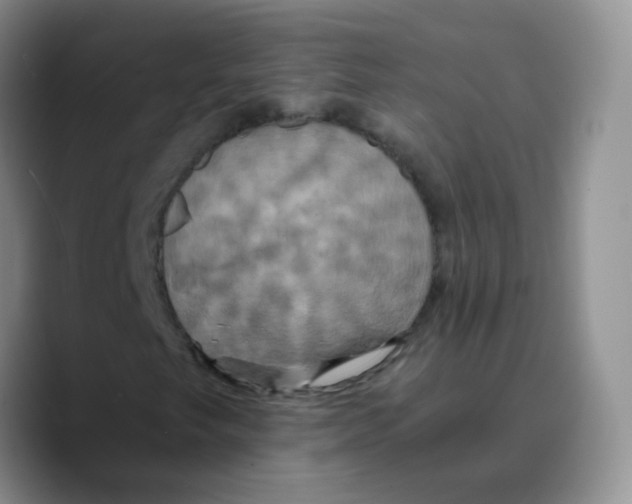 X0000089731249200707201834