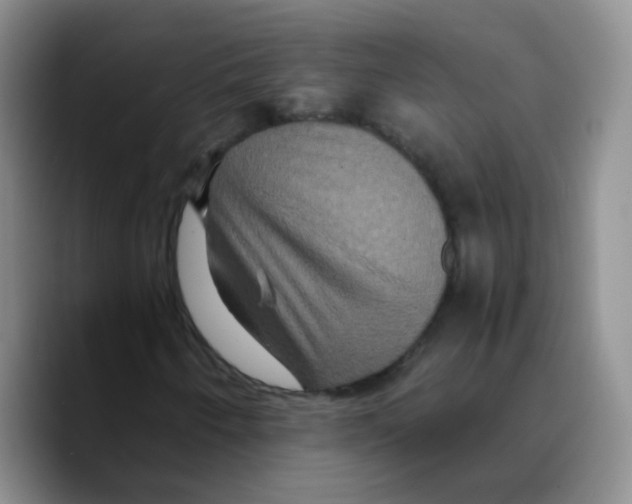 X0000089731250200707201834