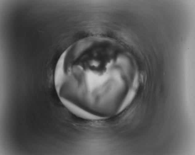 X0000089731251200707201834