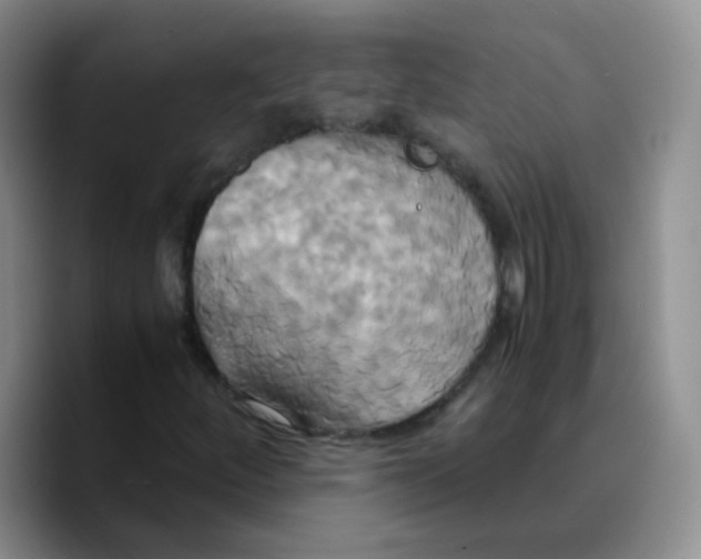 X0000089731252200707201834