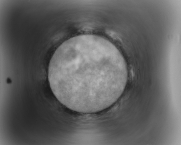X0000089731253200707201834
