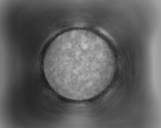 X0000089731256200707201834
