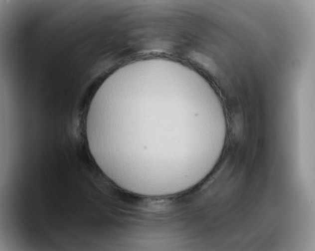 X0000089731258200707201834