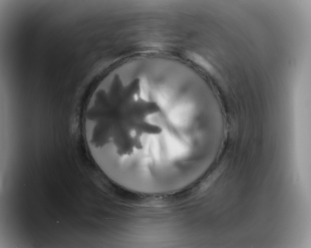 X0000089731259200707201834