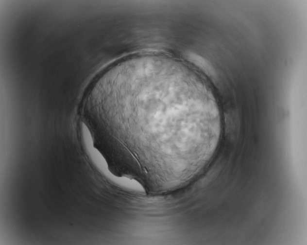 X0000089731260200707201834