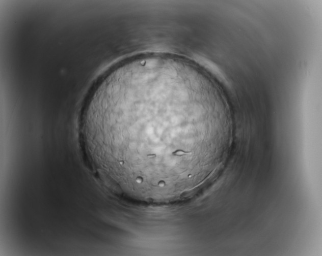 X0000089731264200707201834