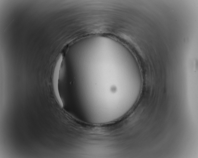 X0000089731265200707201834