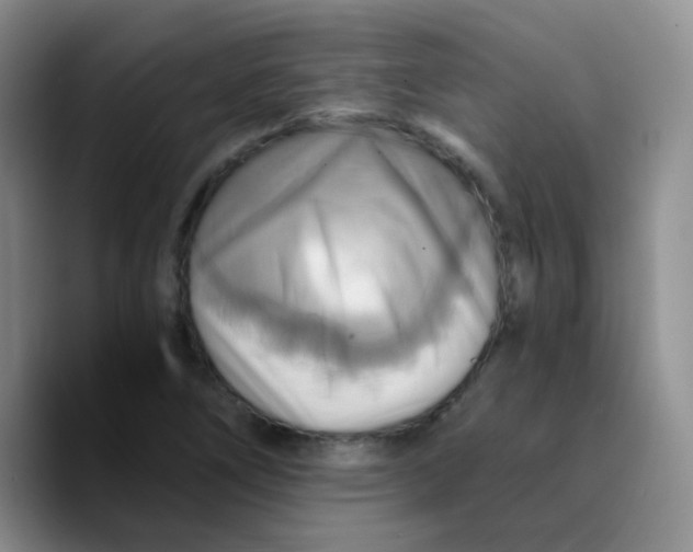 X0000089731266200707201834