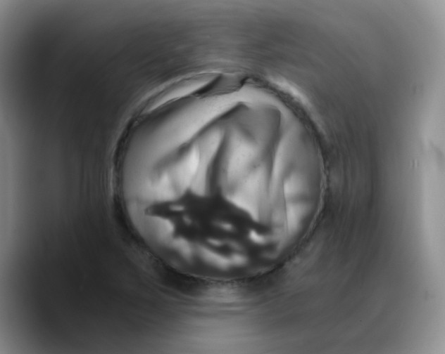 X0000089731267200707201834