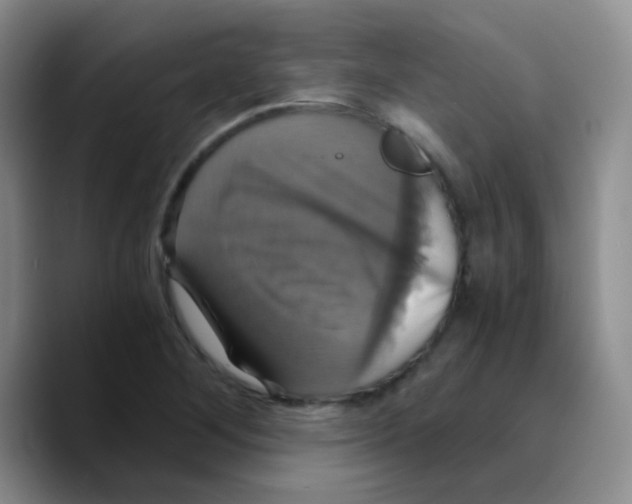 X0000089731268200707201834