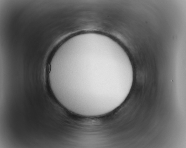 X0000089731270200707201834