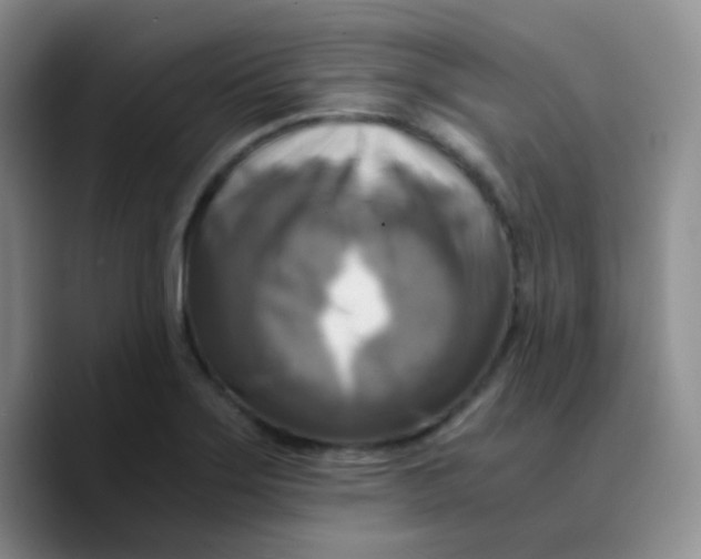 X0000089731275200707201834