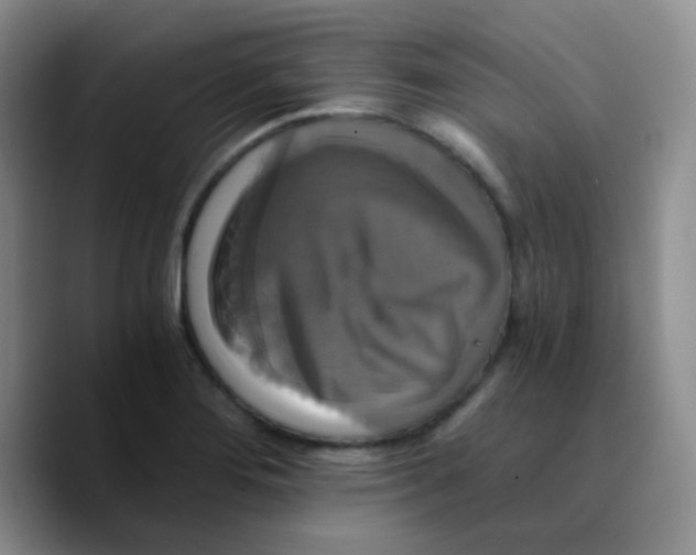 X0000089731276200707201834