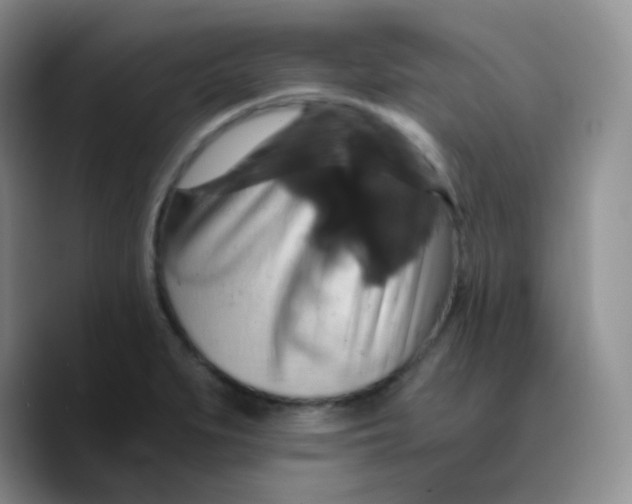 X0000089731279200707201834