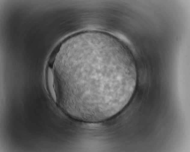 X0000089731280200707201834