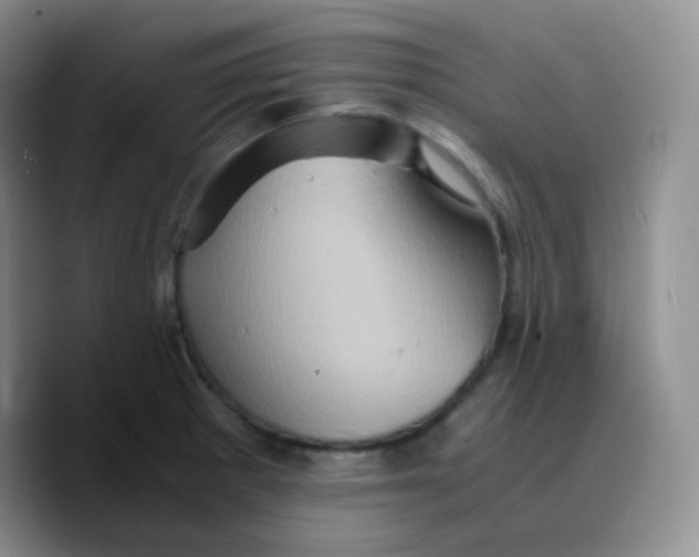 X0000089731281200707201834