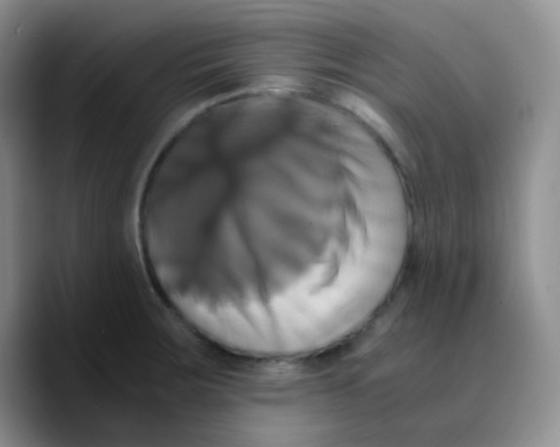 X0000089731283200707201834