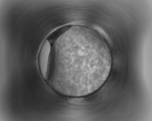X0000089731284200707201834