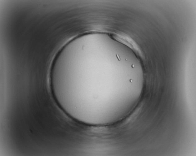X0000089731285200707201834