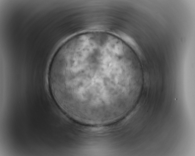 X0000089731288200707201834