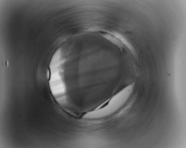 X0000089731289200707201834