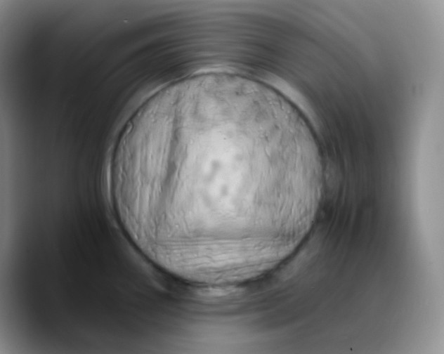 X0000089731290200707201834