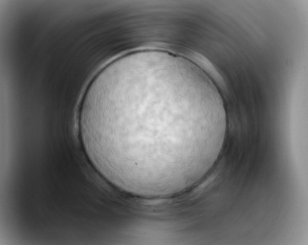 X0000089731292200707201834