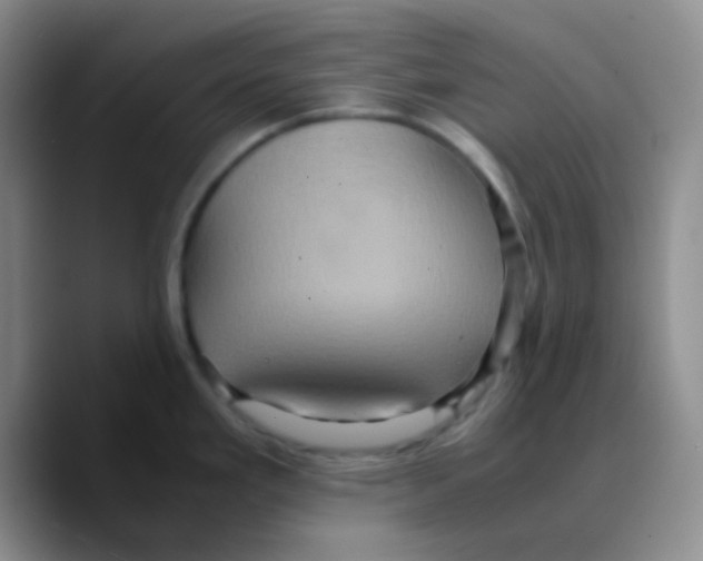 X0000089731293200707201834