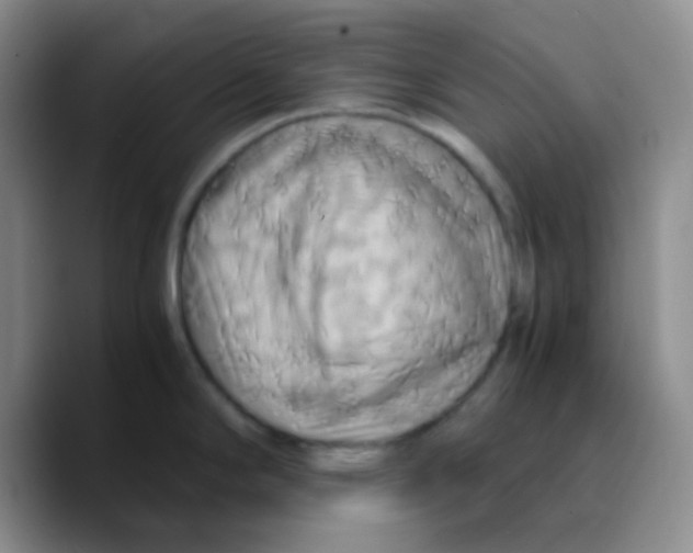 X0000089731294200707201834