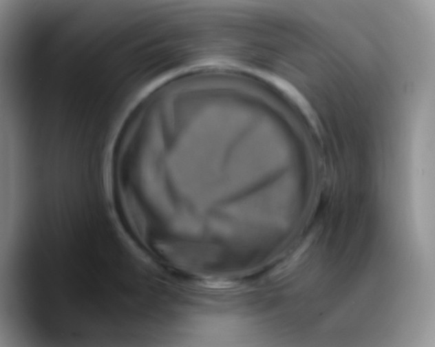 X0000089731295200707201834