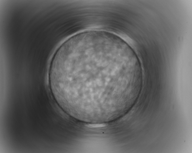 X0000089731296200707201834