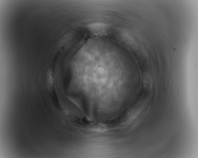 X0000089731298200707201833