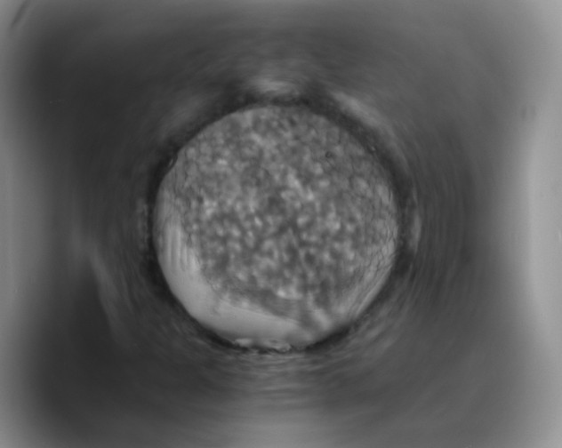 X0000089731301200707201833