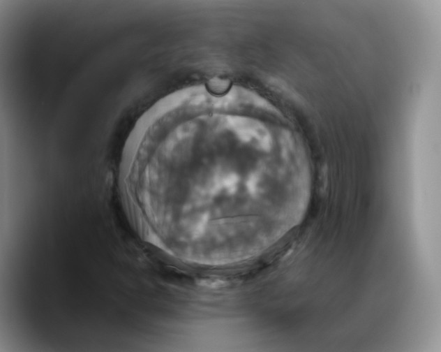 X0000089731302200707201833
