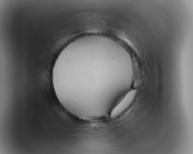 X0000089731304200707201833