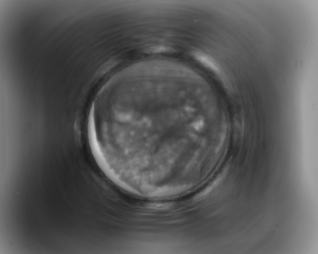 X0000089731305200707201833